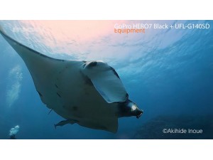 INON GoPro HERO7 with UFL-G140 SD Underwater Semi-fisheye Conversion Lens INON GoPro HERO7 with UFL-G140 SD Underwater Semi-fisheye Conversion Lens