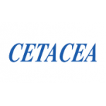 Cetacea Cetacea