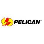 Pelican Pelican