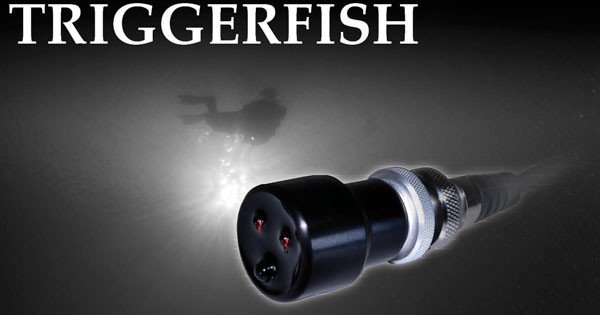 Triggerfish Device TriggerFish