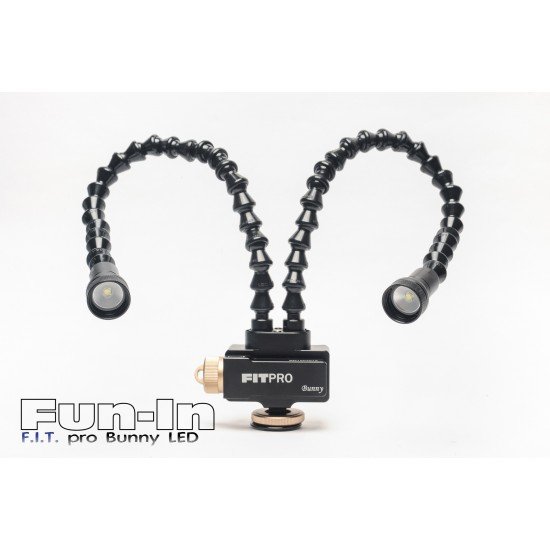 F.I.T. Pro Bunny LED (Special discount)