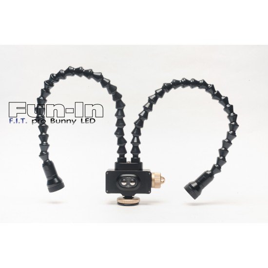 F.I.T. Pro Bunny LED (Special discount) F.I.T. Pro Bunny LED (Special discount)