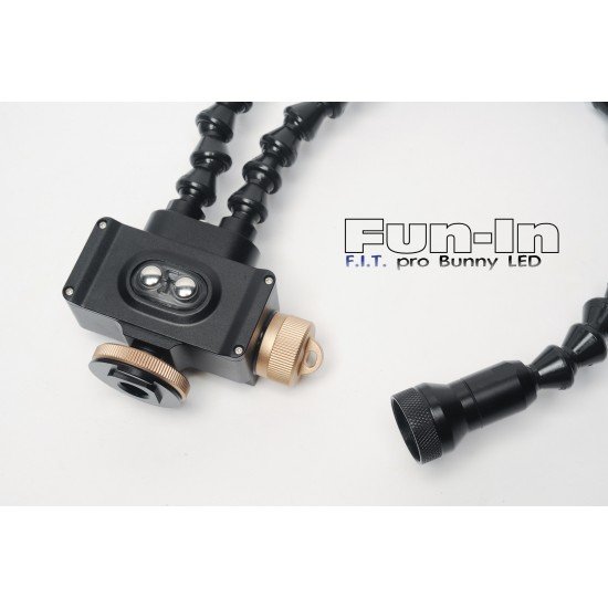 F.I.T. Pro Bunny LED (Special discount)