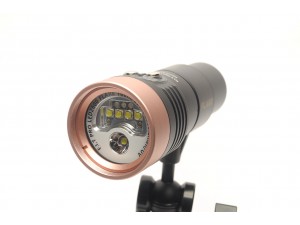 F.I.T. LED 2600 Flare 攝影燈 (玫瑰金新上市!!)