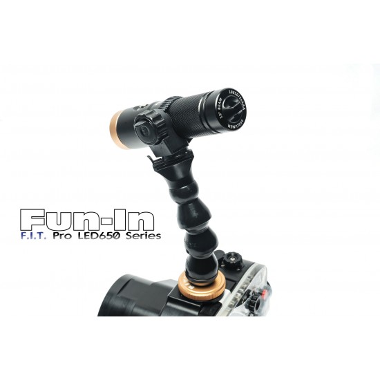 F.I.T. LED650W with Hotshoe Flex Arm Set (Wide)
