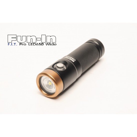 F.I.T. LED 650W Diving Backup Light (Wide)