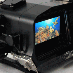 Gates AX700 / Z90 / NX80 Video Housing Gates AX700 / Z90 / NX80 Video Housing