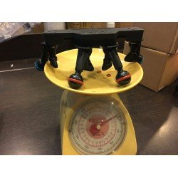 INON D5 Base Tripod Suite (with 4x INON Z Adapter MV)