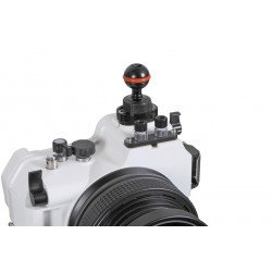 INON M6 Plate Direct Base III