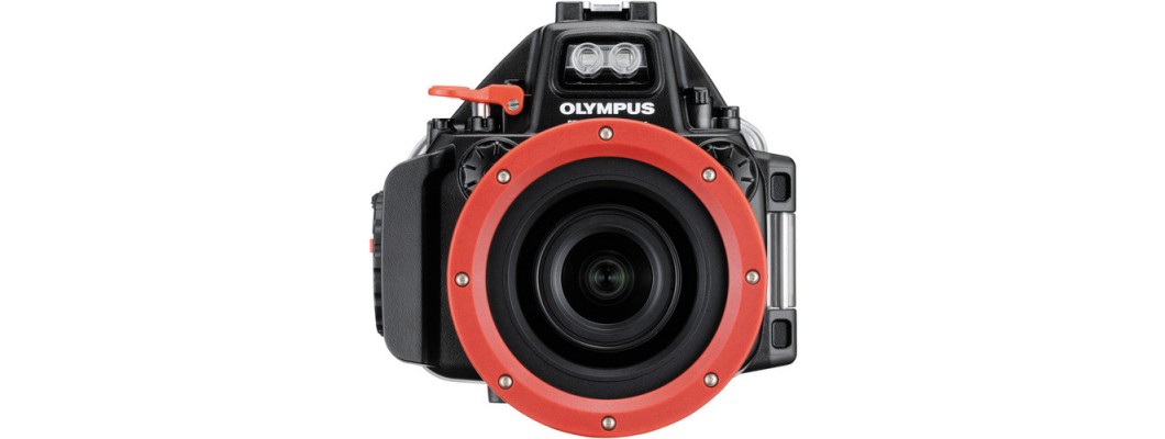 Olympus E-M5 II + 60mm 微距鏡加掛 +10