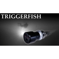 TriggerFish