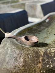 IMG 3598