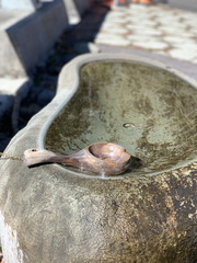 IMG 3599