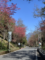 IMG 3601