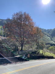 IMG 3602
