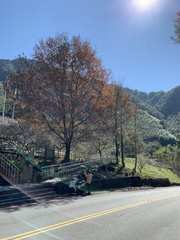 IMG 3603