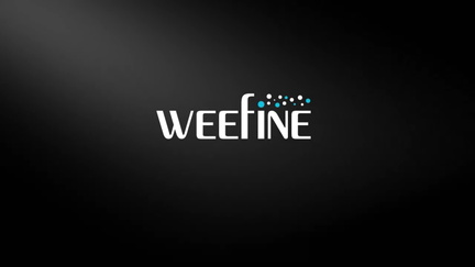 Weefine WFH07