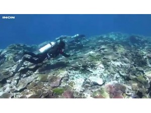 INON GoPro 搭配 碳纖維伸縮燈臂與UFL-G140 SD 水用半魚眼(Semi-fisheye)鏡頭 水中實拍影片 INON GoPro 搭配 碳纖維伸縮燈臂與UFL-G140 SD 水用半魚眼(Semi-fisheye)鏡頭 水中實拍影片