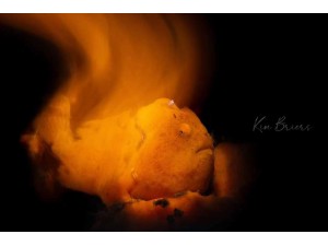 Marelux SOFT 光束筒慢速快門運用 Marelux SOFT 光束筒慢速快門運用