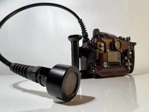 Marelux 宣布推出世界首款適用於水下防水盒的 HIFI 級水聽器 (水下聽音器, hydrophone)