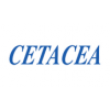 Cetacea