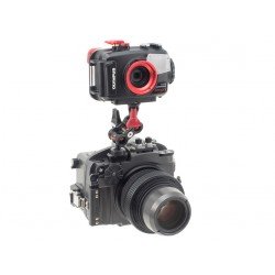 INON Z 型相機底座轉接頭 MV 1/4-20UNC INON Z 型相機底座轉接頭 MV 1/4-20UNC