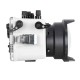 Ikelite 防水盒 for Canon EOS R7 微單 (60m Dry Lock版)
