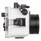 Ikelite for Sony Cybershot RX100III/RX100IV/RX100V 防水盒 (新版)