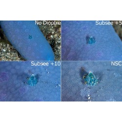 Nauticam 微距鏡 SMC-1 (2.3x) Nauticam 微距鏡 SMC-1 (2.3x)
