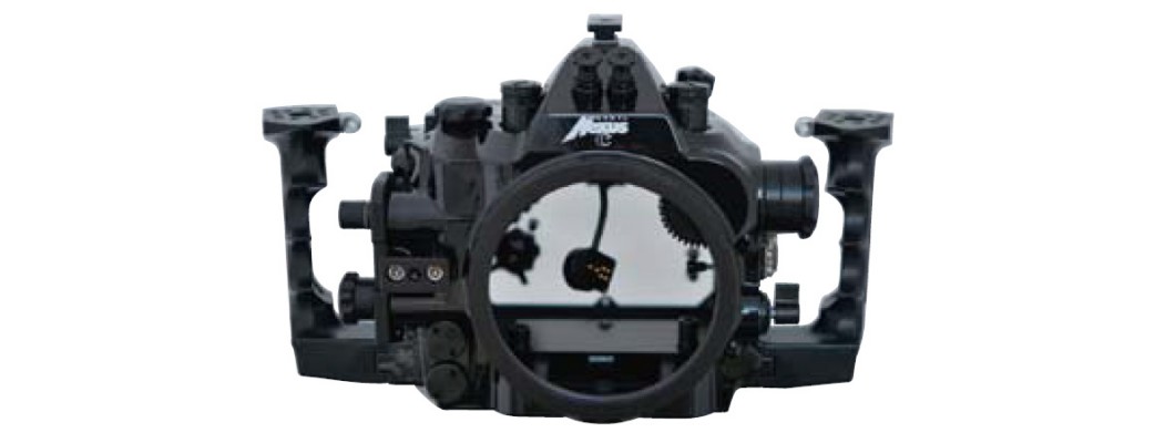 Nexus C 5D4，Canon 24-70mm，搭配 F.I.T. 多向球座，F.I.T.碳纖維浮力燈臂，F.I.T. 箝制夾，INON Z-240 閃光燈