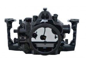 Nexus C 5D4,Canon 24-70mm,搭配 F.I.T. 多向球座,F.I.T.碳纖維浮力燈臂,F.I.T. 箝制夾,INON Z-240 閃光燈 Nexus C 5D4,Canon 24-70mm,搭配 F.I.T. 多向球座,F.I.T.碳纖維浮力燈臂,F.I.T. 箝制夾,INON Z-240 閃光燈