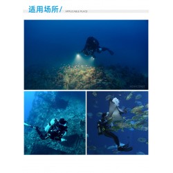 Weefine WF081 Smart Focus 7000 流明攝影燈 (有閃燈模式, 包含球座, RA80, 5700K) Weefine WF081 Smart Focus 7000 流明攝影燈 (有閃燈模式, 包含球座, RA80, 5700K)