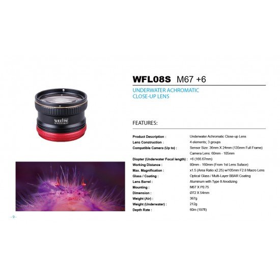 Weefine WFL08S 微距鏡 (+6, M67, 設計給單眼60-105mm鏡頭使用)
